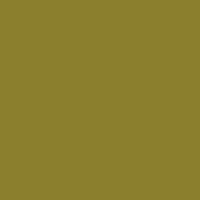 Green Cotton Solid Palazzo